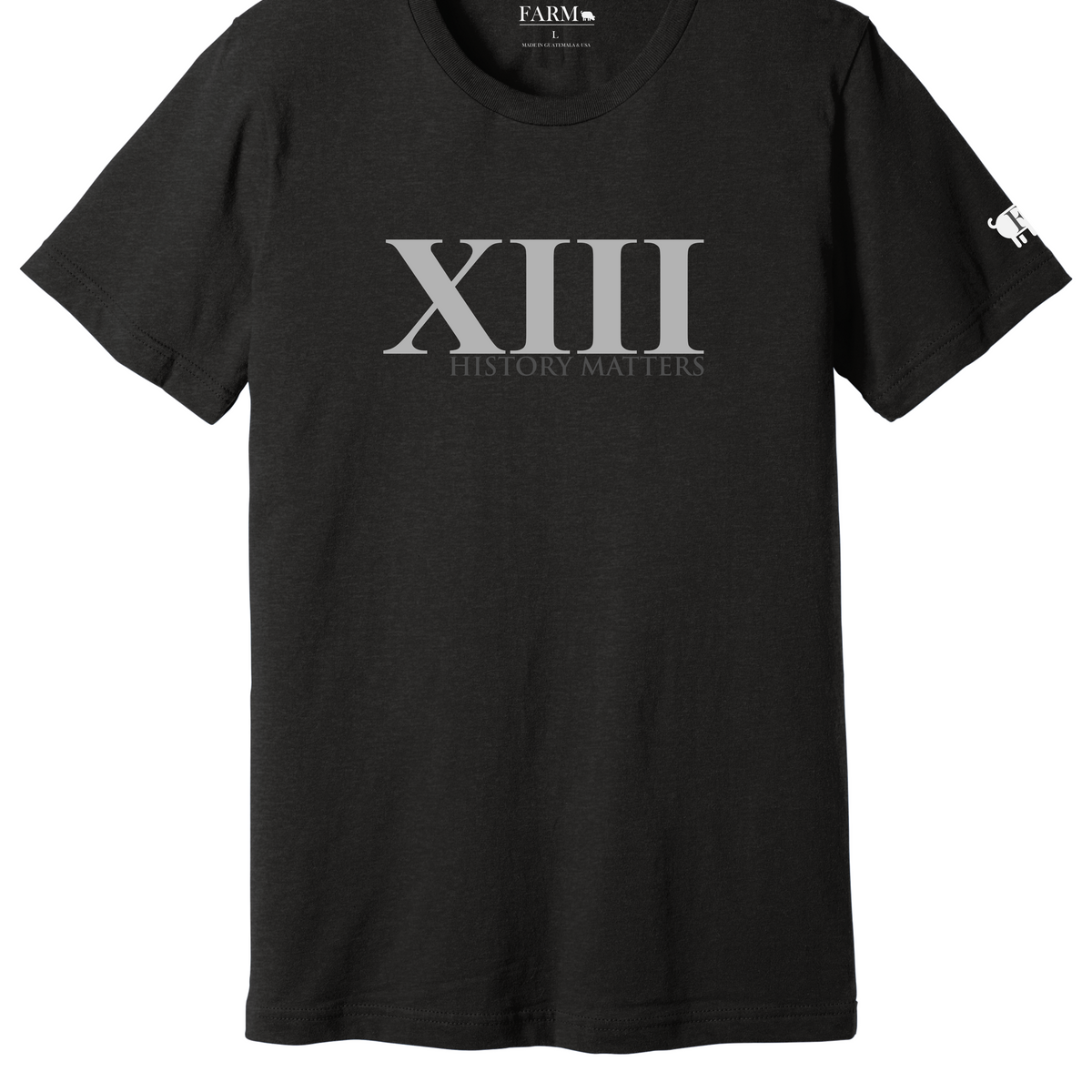 XIII History Matters Thirteenth Amendment T-Shirt Adult – Farm 
